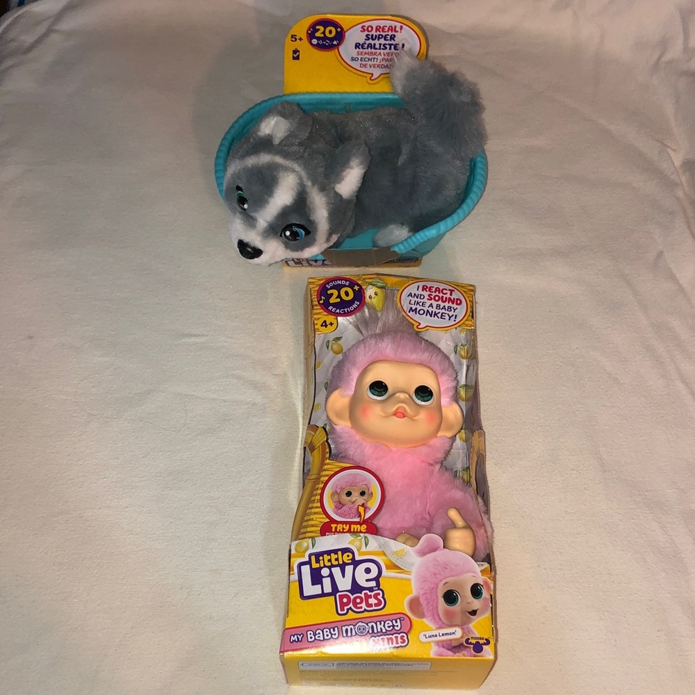 Little live, pets, baby monkey really real puppy mini aurora new